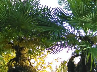 Casale Baone Registrazione all'aperto 6