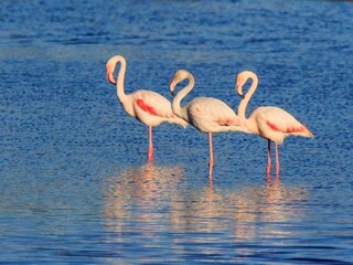 Casale Baone Ambiente 29