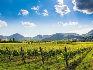 Casale Baone Ambiente 38