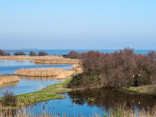 Casale Baone Ambiente 37