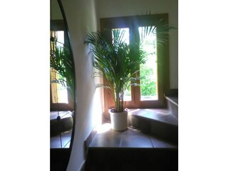 Casale Baone Caratteristiche 25