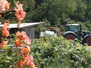 Ferienhaus Dahme Ausstattung 28
