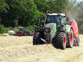 Heuernte für unsere Pferde