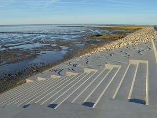 Salzwiesen Petra Feil, Lizenzrechte Gem. Friedrichskoog