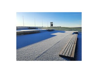 Salzwiesen Petra Feil, Lizenzrechte Gem. Friedrichskoog