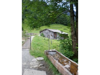 Vakantieappartement Schoppernau Omgeving 28