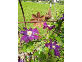 Vakantieappartement Schoppernau Buitenaudio-opname 5