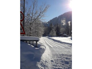 Appartamento per vacanze Schoppernau Registrazione all'aperto 1