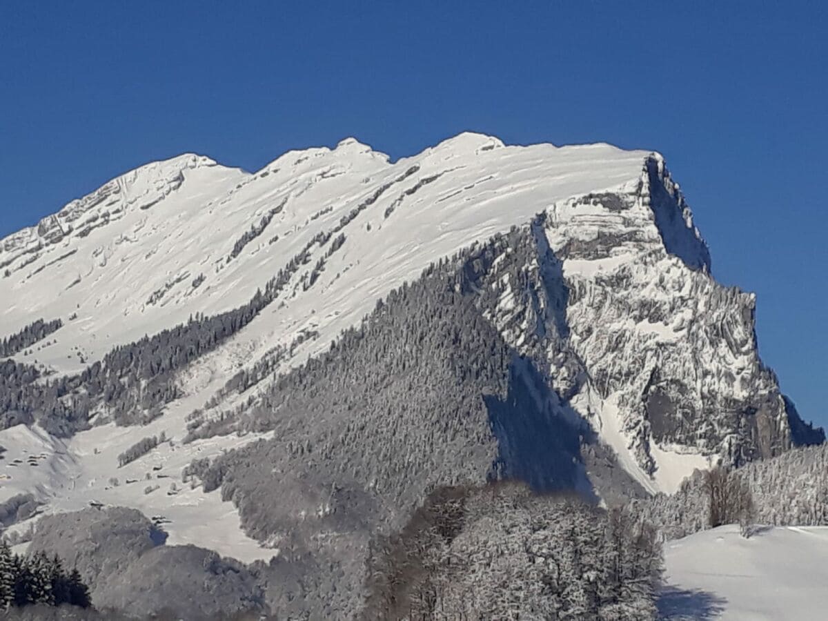 Vakantieappartement Schoppernau Buitenaudio-opname 1