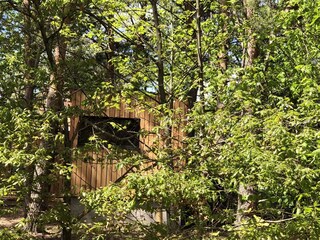 Ferienhaus Colmar Außenaufnahme 8