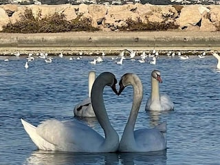 Auch das ist Villeneuve-Loubet