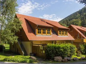 Ferienwohnung im Ferienhaus am Brocken - 2 Schlafzimmer - Ilsenburg - image1