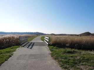 Casa per le vacanze Den Helder Ambiente 21