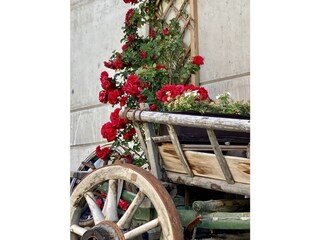 Appartamento per vacanze Mals Registrazione all'aperto 8