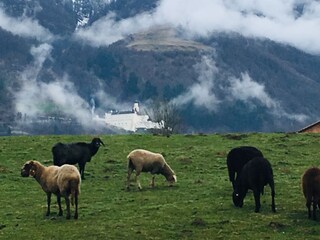 Appartamento per vacanze Mals Ambiente 20