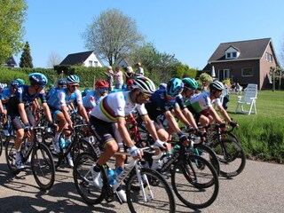 Amstel Gold race fur wohnung