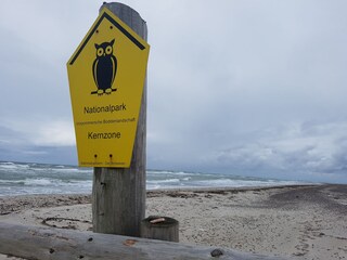 Ferienhaus Born an der Darß Umgebung 28