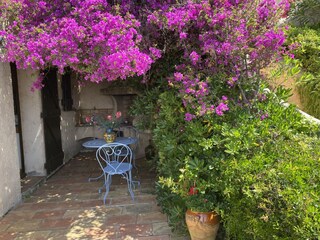 Maison de vacances La Croix-Valmer Enregistrement extérieur 4