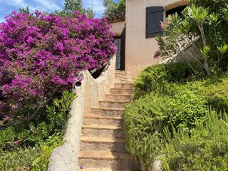 Maison de vacances La Croix-Valmer Enregistrement extérieur 8