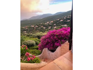 Casa de vacaciones La Croix-Valmer Grabación al aire libre 17