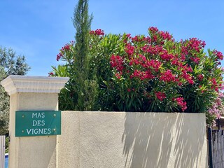 Casa de vacaciones Le Plan-de-la-Tour Entorno 34