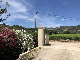 Casa de vacaciones Le Plan-de-la-Tour Entorno 35