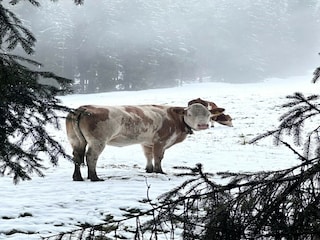 Chalet Mühlbach am Hochkönig Außenaufnahme 10