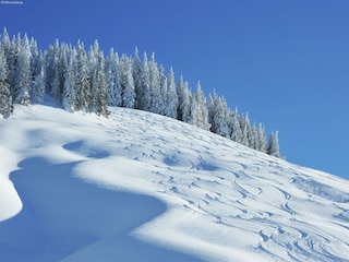 Chalet Mühlbach am Hochkönig Environment 32