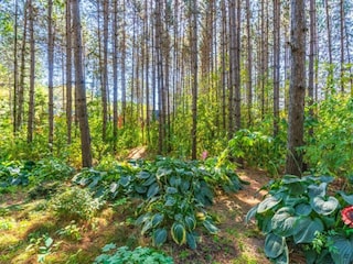 Ferienhaus Roes Umgebung 35