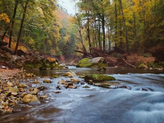 Casa per le vacanze Roes Ambiente 37