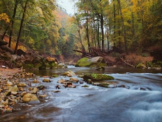 Ferienhaus Roes Umgebung 29