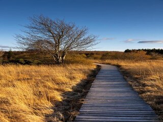 Vakantiehuis Roes Omgeving 27