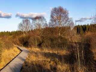 Vakantiehuis Roes Omgeving 28