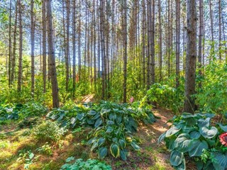 Casa per le vacanze Roes Ambiente 36