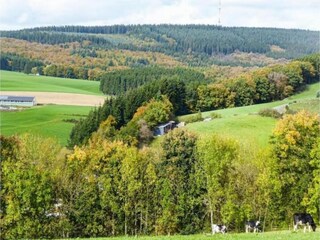 Casa per le vacanze Roes Ambiente 37