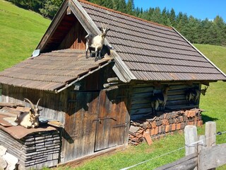 Vakantieappartement Neustift im Stubaital Buitenaudio-opname 7
