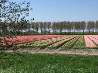 Vakantiehuis Warmenhuizen Omgeving 37