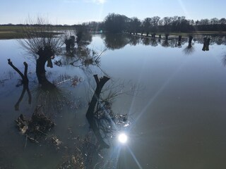 Appartement de vacances Hitzacker Enregistrement extérieur 4