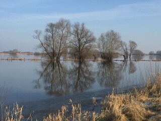 Appartement de vacances Hitzacker Enregistrement extérieur 3