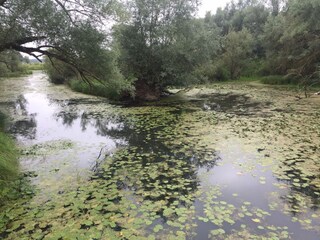 Appartement de vacances Hitzacker Environnement 21