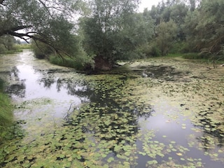 Naturschutzgebiet beim Höhbeck