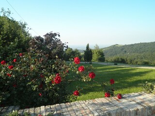 Farmhouse Scandiano Outdoor Recording 3