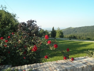 Farmhouse Scandiano Outdoor Recording 4