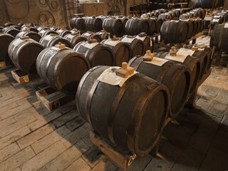 Type de propriété : Ferme Scandiano  28