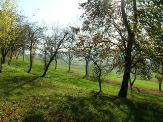 Bauernhof Scandiano Umgebung 23