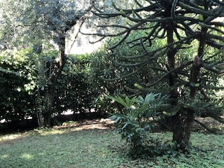 Maison de vacances Pozzolengo Enregistrement extérieur 9
