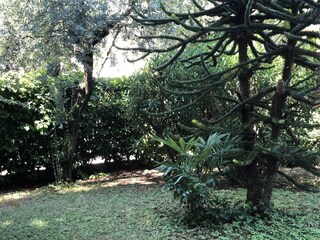 Casa de vacaciones Pozzolengo Grabación al aire libre 13