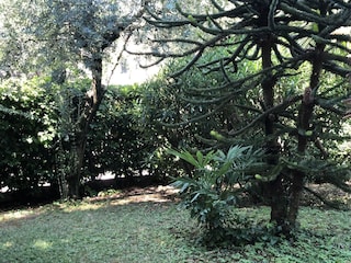 Maison de vacances Pozzolengo Enregistrement extérieur 13