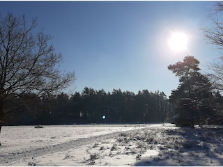 Winter in der Heide