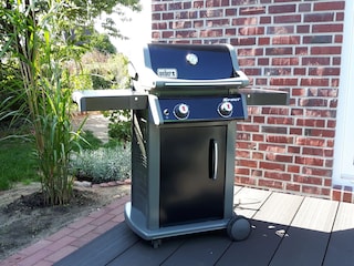 Weber Gasgrill